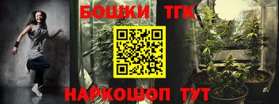 МДПВ Пенза