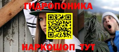 МДПВ Пенза