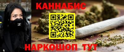 МДПВ Пенза