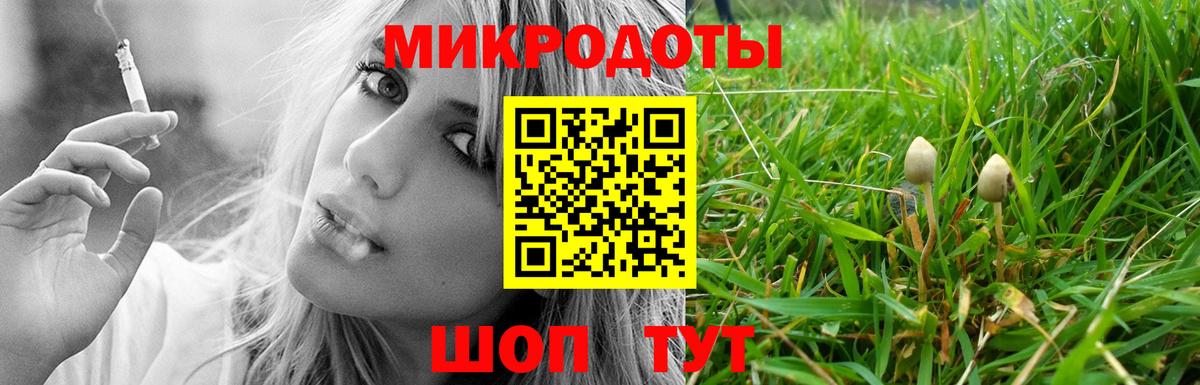 Галлюциногенные грибы Psilocybe Приморско-Ахтарск